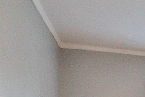 246BS 347 S Harvey Ave. 1-2 Beds Apartment for Rent - Photo Gallery 5