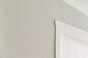 432A/438H 432 N. Austin Blvd. Studio-2 Beds Apartment for Rent - Photo Gallery 5