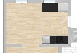 434 N. Austin 1C