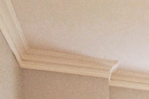 506N Property Image