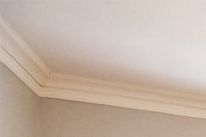 508 1E 504 S. Cuyler Ave. Studio-1 Bed Apartment for Rent - Photo Gallery 3