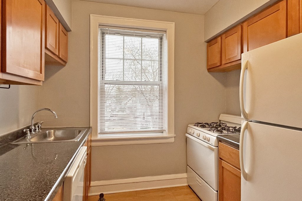A kitchen with a stove and a refrigerator.