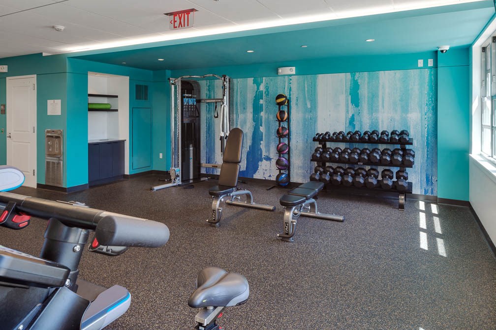 a gym with weights and a wall mural of the ocean