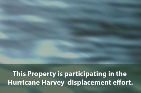 11900 City Park Central Ln 1-2 Beds Apartment for Rent - Photo Gallery 7