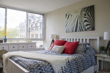 1 Bedroom Apartments In Montreal