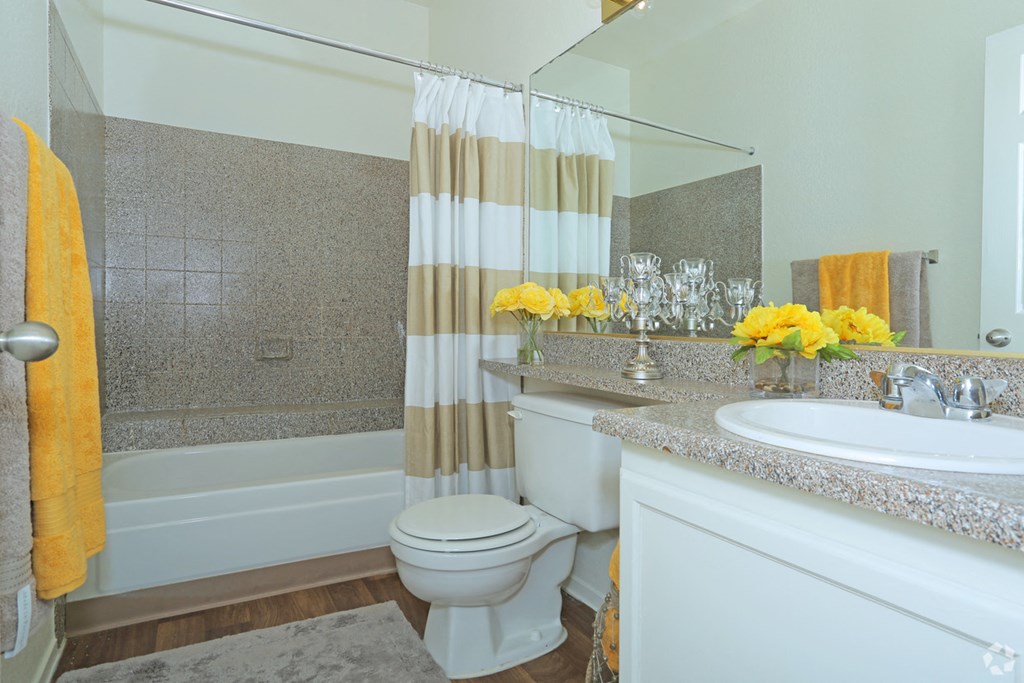 a bathroom with a shower and a toilet and a sink