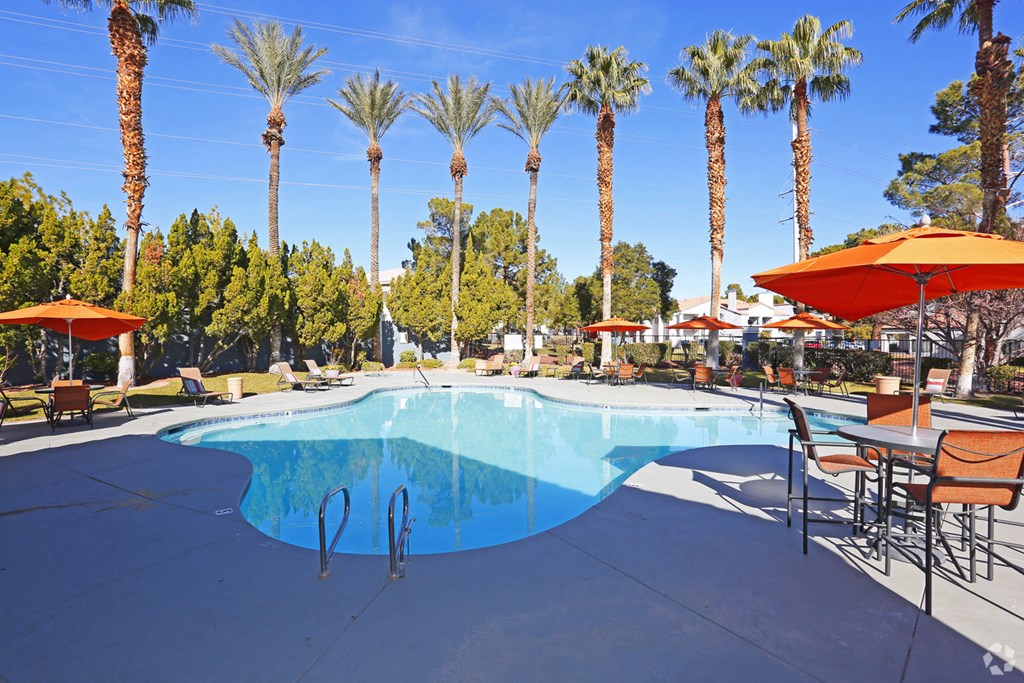 a swimming pool with chairs and umbrellas and palm trees