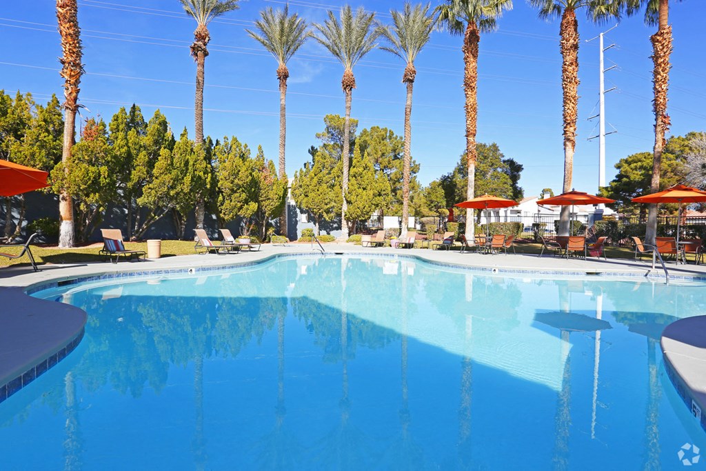 a swimming pool with palm trees in the background