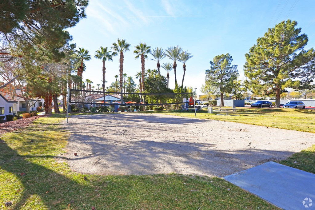 a park with a volleyball court and palm trees