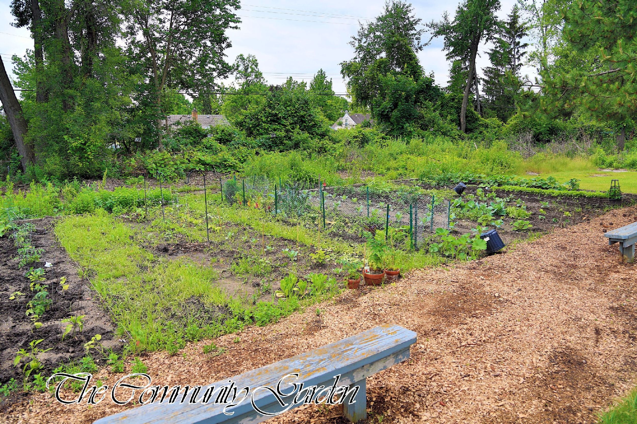 Colonial Woods Senior Apartments Lansing, MI