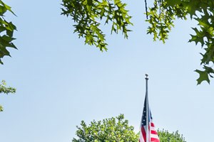 Pet Friendly Apartments For Rent In Greenville Sc Pet Friendly Apartments For Rent In Greenville Sc