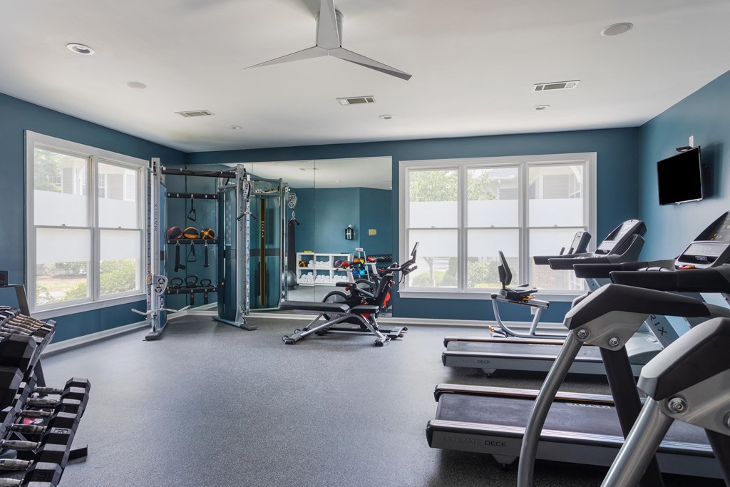 a gym with cardio machines and weights and windows