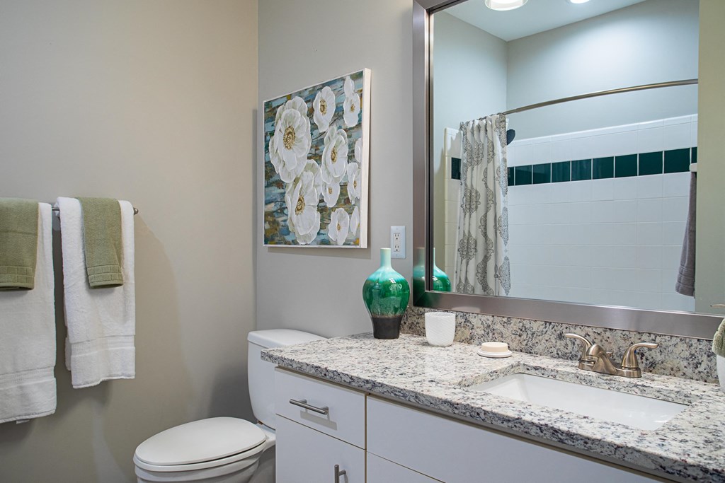a bathroom with a sink and a toilet and a mirror