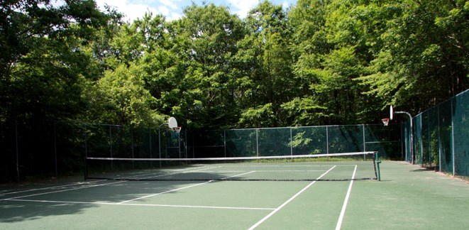 a tennis court with trees in the background