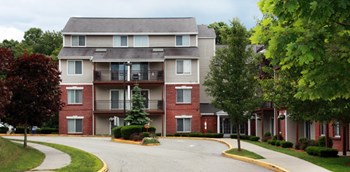 300 Michelle Lane 1-3 Beds Apartment for Rent - Photo Gallery 2