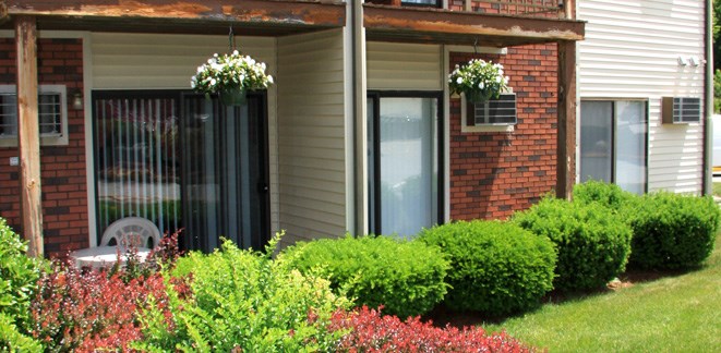 a front porch of a house with plants and bushes
