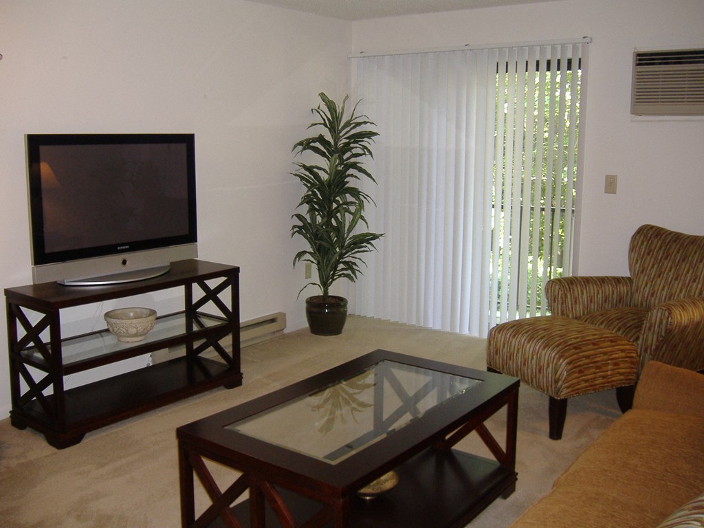a living room with a couch and a television