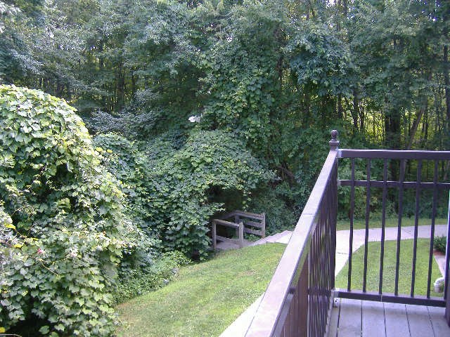 a balcony overlooking a park with trees and a bench