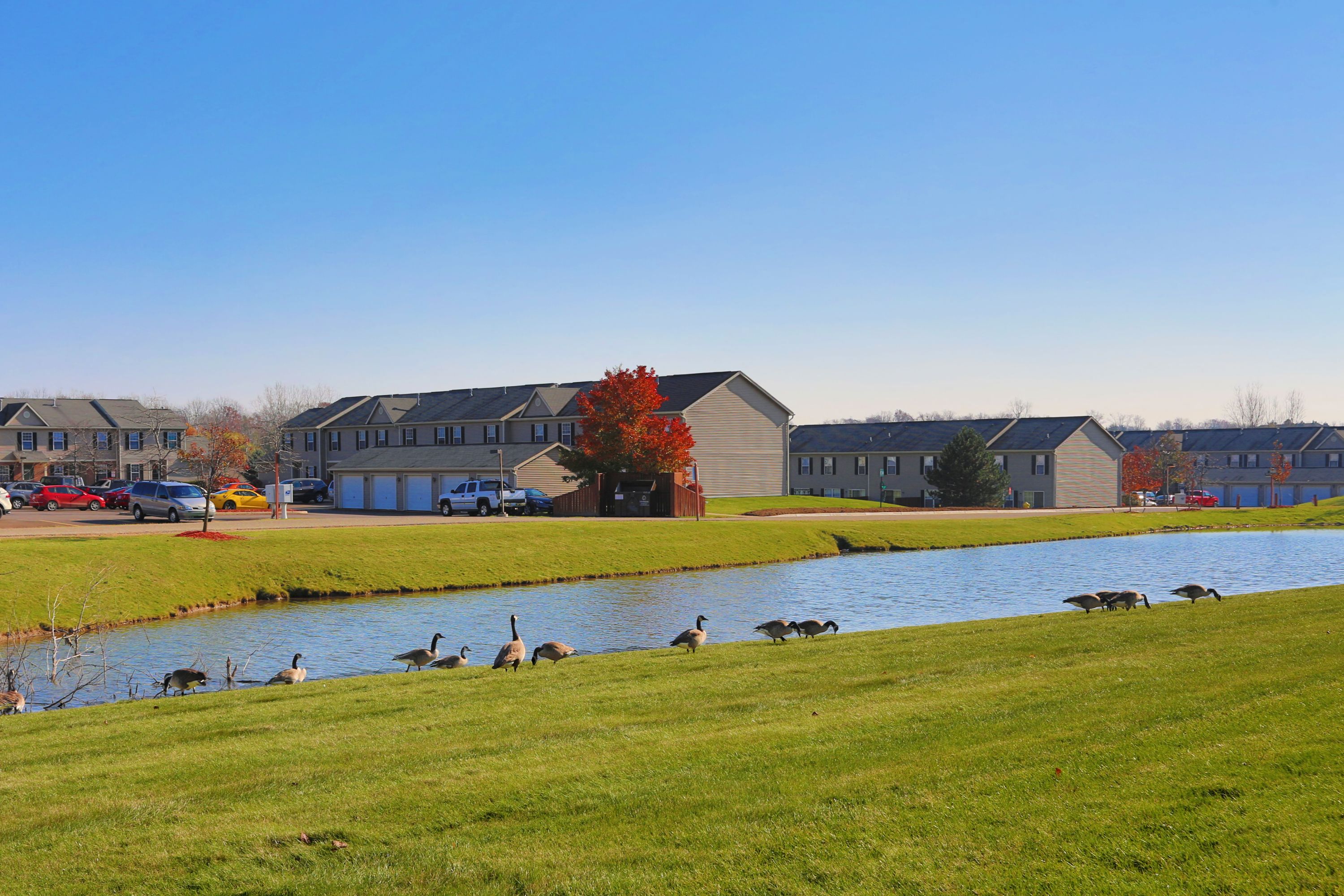 Willow Ponds Apartments in Lansing, MI 48917