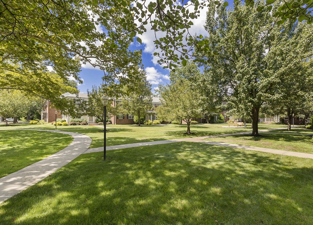 a park with green grass and trees and a pathway