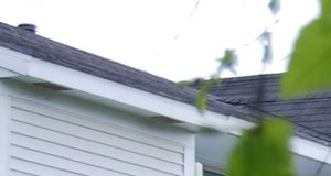 Lansing Apartments For Rent Trappers Cove Apartments