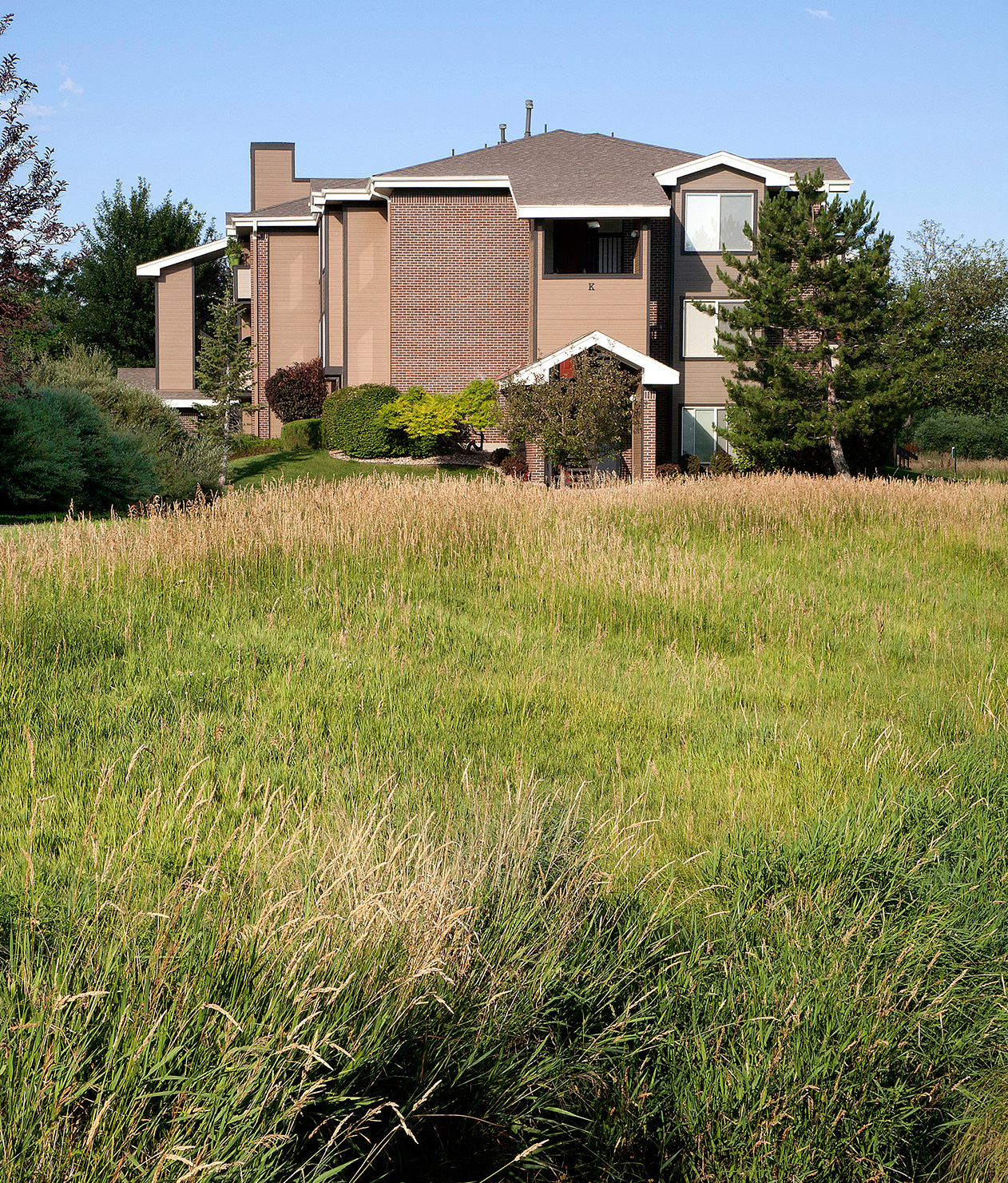 Photos and Video of Pinecone Apartments in Fort Collins, CO