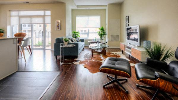 a living room with a couch and a television