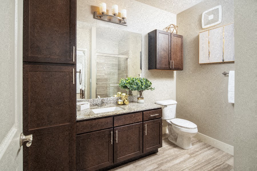 a bathroom with a sink and a toilet