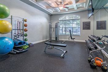Fitness Center with Yoga Studio, Spin Bikes and Cardio Equipment