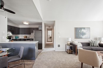Passage Apartments Living Room and Entryway Passage Apartments Living Room and Entryway - Photo Gallery 4