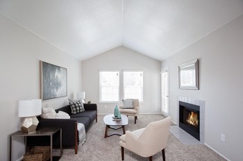 Passage Apartments Living Room and Fireplace Passage Apartments Living Room and Fireplace - Photo Gallery 5