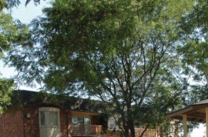 2277 Grove Road, #211 1-2 Beds Apartment for Rent - Photo Gallery