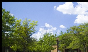 42256 Addison Avenue 1-2 Beds Apartment for Rent - Photo Gallery 3