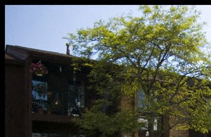 42256 Addison Avenue 1-2 Beds Apartment for Rent - Photo Gallery 2
