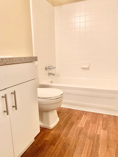 a bathroom with a toilet and a bath tub