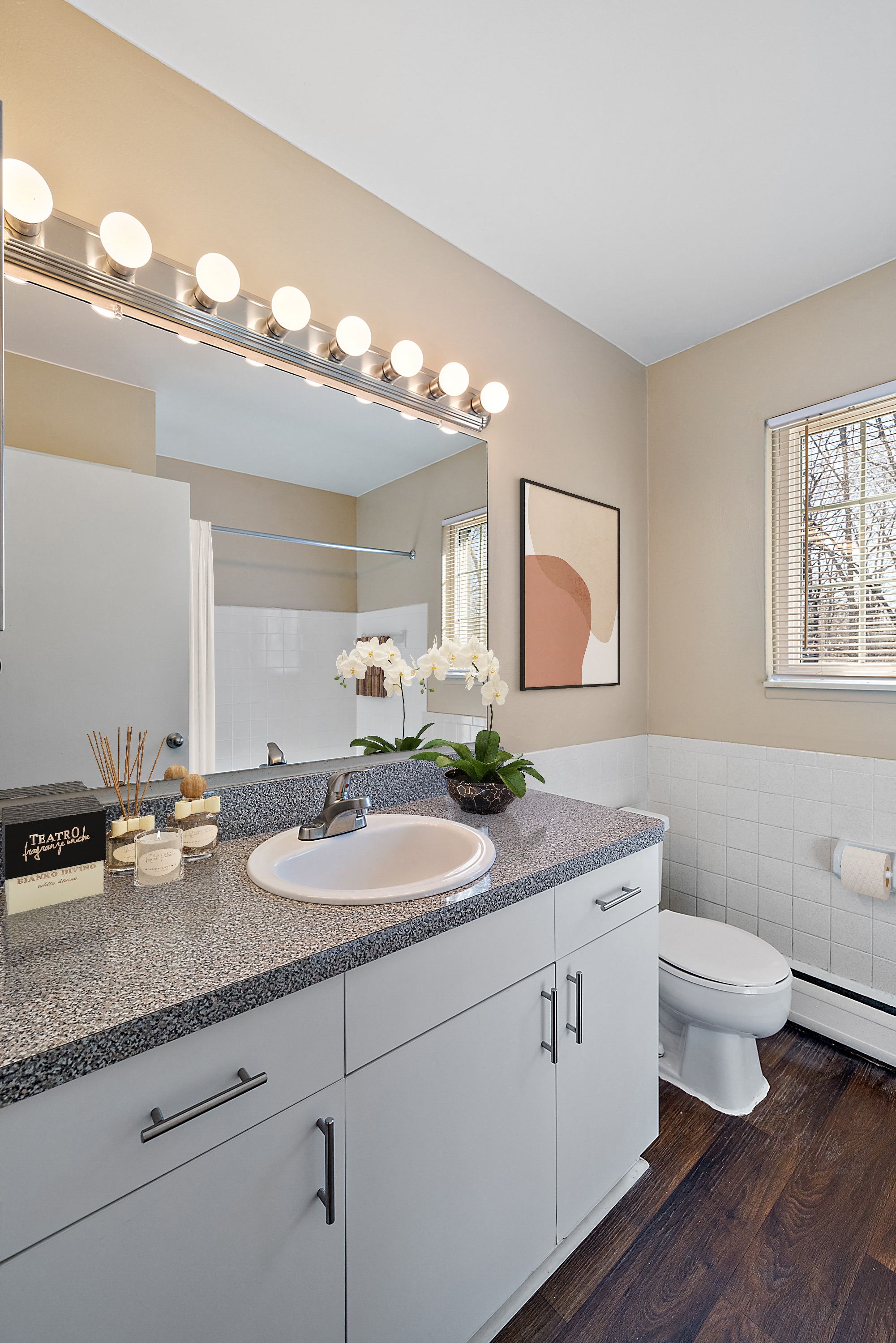 a bathroom with a sink and a toilet and a mirror