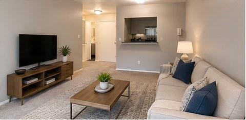 A living room with a couch, a coffee table, and a television.