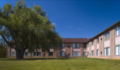 an apartment building with a tree in the yard