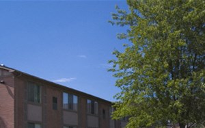 an apartment building with a tree in front of it