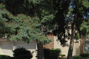29600 Franklin Rd 2-3 Beds Apartment, Townhouse for Rent - Photo Gallery 6