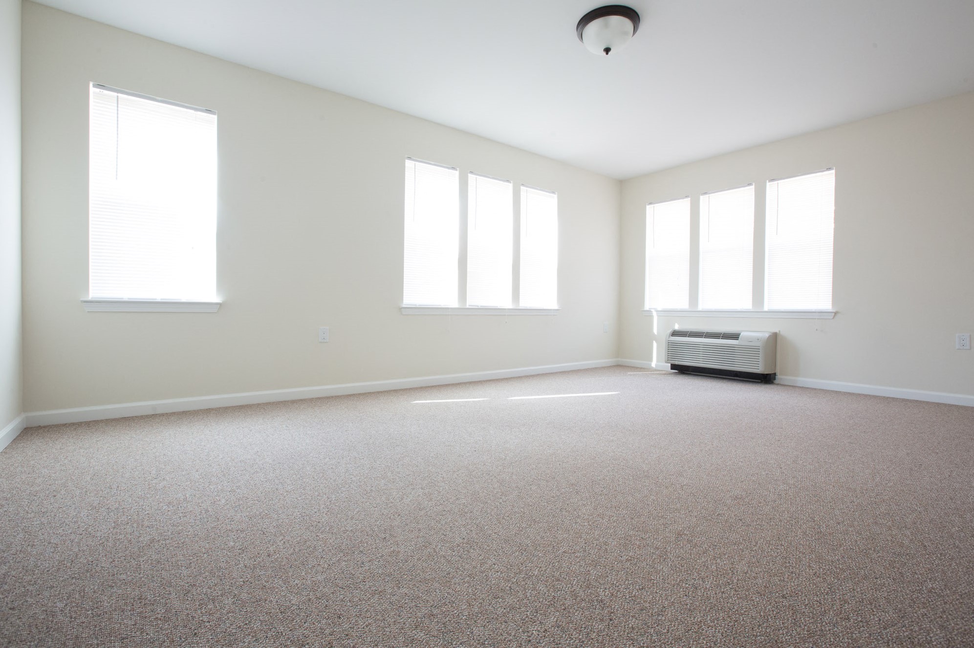 bedroom with carpeted floors