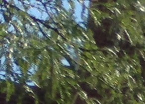 West Englewood Apartments For Rent Chicago Il Rentcafe