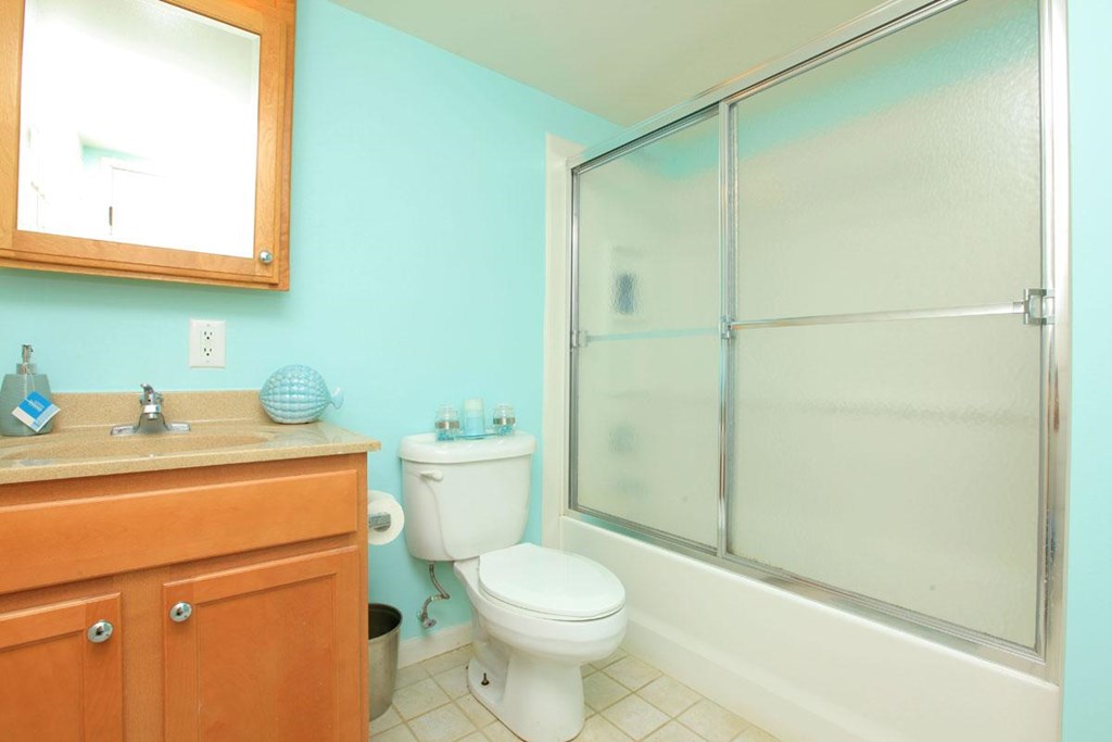 a bathroom with a shower toilet and a sink