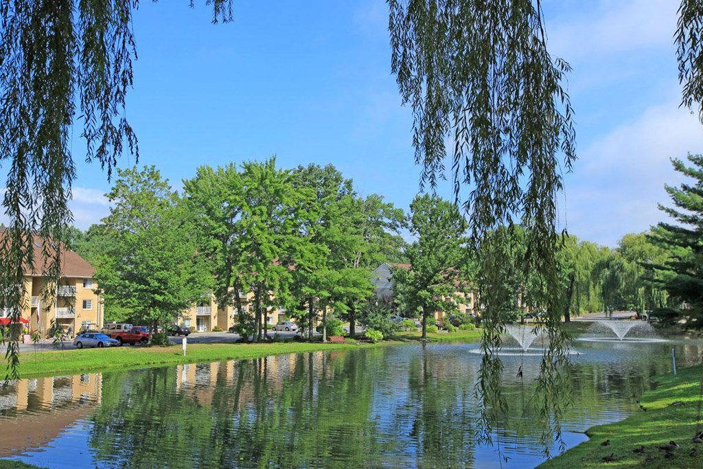 a lake in a park with trees and buildings in the background