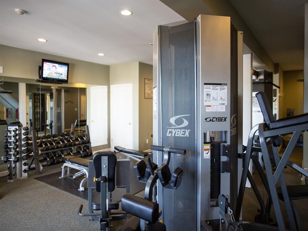 a gym with weights and cardio equipment in a room with a tv