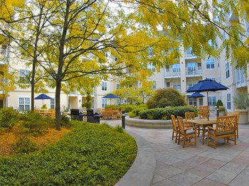 500 Bedford Street 1-2 Beds Apartment for Rent - Photo Gallery 3