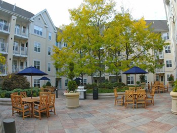 500 Bedford Street 1-2 Beds Apartment for Rent - Photo Gallery 4