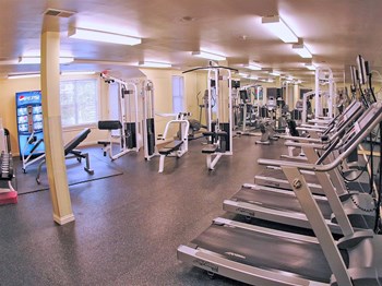500 Bedford Street 1-2 Beds Apartment for Rent - Photo Gallery 5