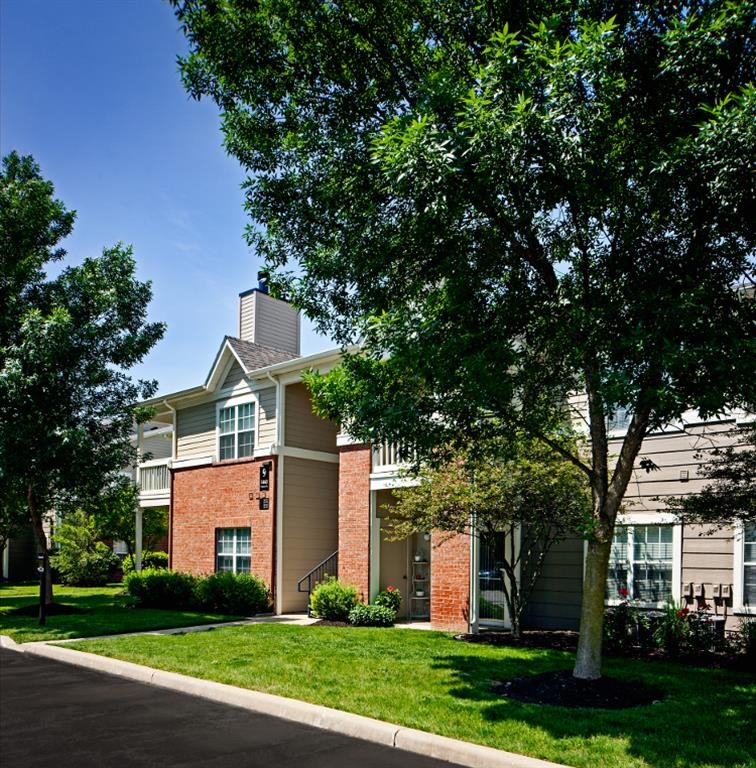Large tree in front of two-story apartment building