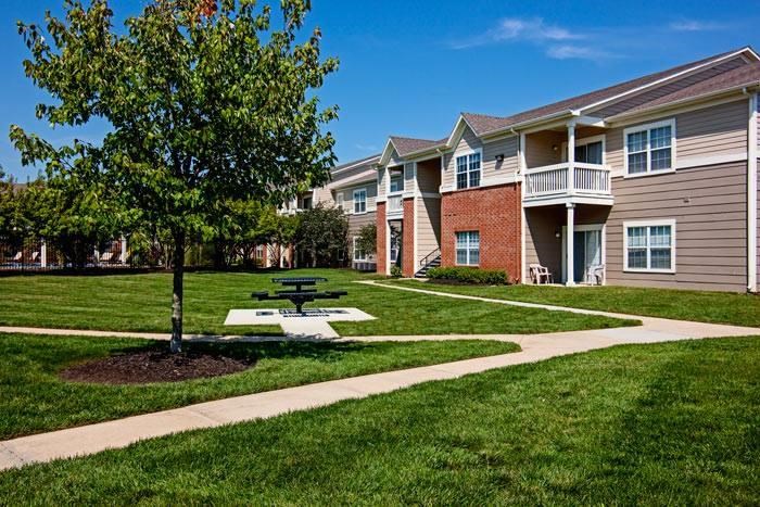Picnic table by tree in proximity to apartment buildings